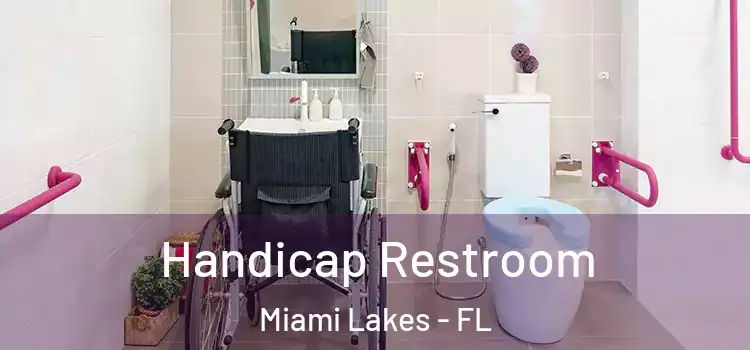 Handicap Restroom Miami Lakes - FL